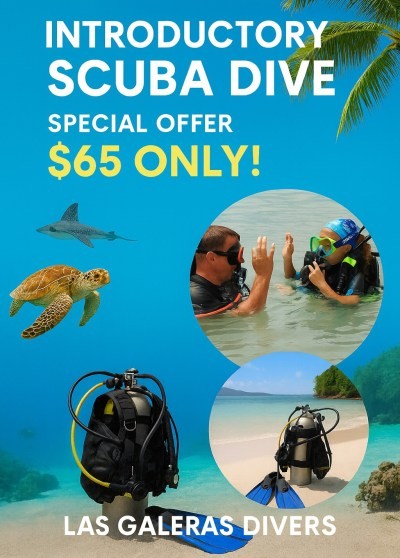 Introductory Scuba Dive Special Offer